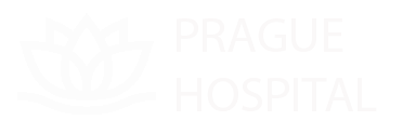Prague Hospital